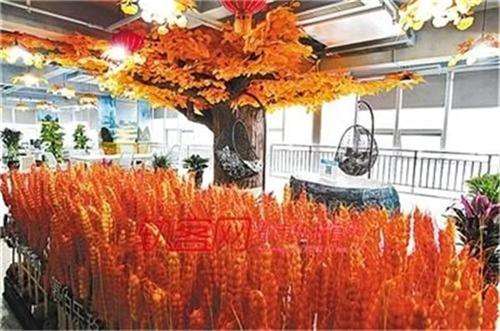 点击新窗口打开大图
